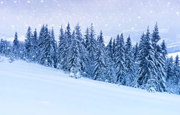 Should You Cover Your HVAC System in the Winter